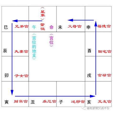 疾厄宮看配偶|紫微斗数疾厄宮四化入各宫具体表现，疾厄宫四化在十二宫吉凶详。